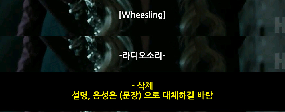 [Wheesling] -라디오소리- - 삭제 설명, 음성은 (문장) 으로 대체하길 바람